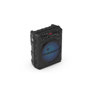 Портативная акустика Ritmix SP-810B black