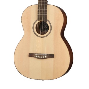 Акустическая гитара NewTone N17GASNT