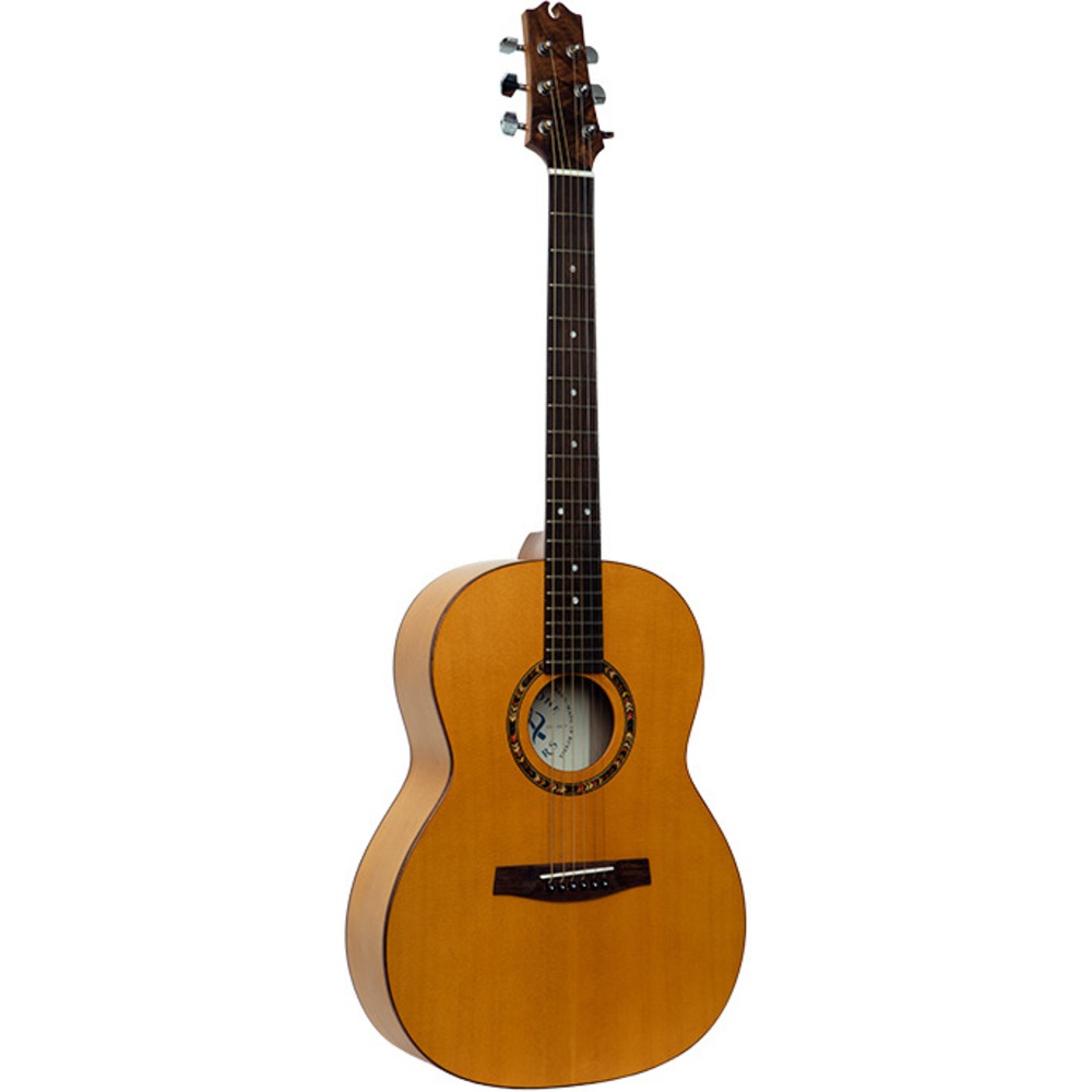 Акустическая гитара NewTone RGASNT