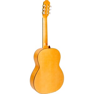 Классическая гитара NewTone SCLSNSP