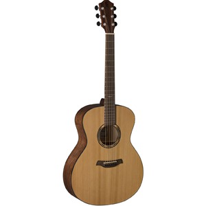 Акустическая гитара BATON ROUGE AR21C/A