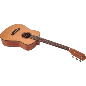 Акустическая гитара BATON ROUGE AR11C/TB