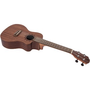 Укулеле концерт BATON ROUGE V2-CCE sun