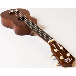 Укулеле сопрано TUTTI JR-12 CF