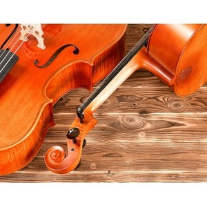 Виолончель ANDREW FUCHS CM-200M 4/4