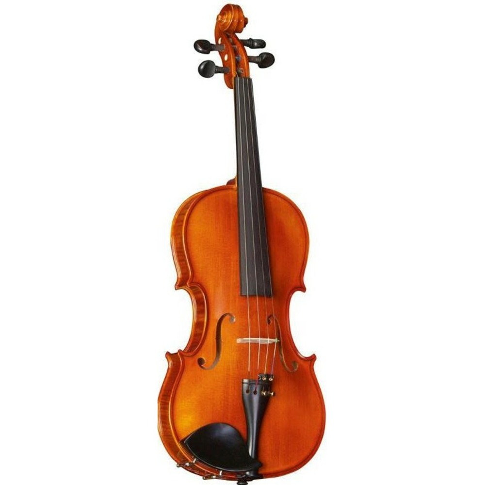 Скрипка Strunal 175wA-4/4