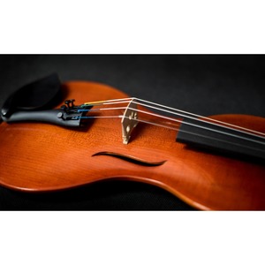 Электроскрипка Strunal Freedom