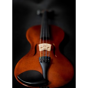 Электроскрипка Strunal Freedom