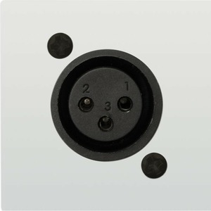 Терминал XLR (Мама) Audac CP45XLFS/W