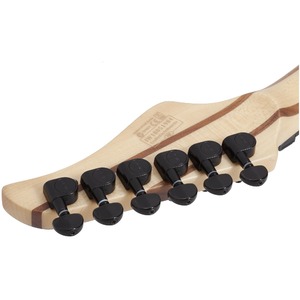 Электрогитара SCHECTER Reaper-6 FR SCB