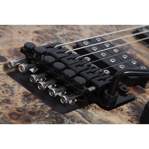 Электрогитара SCHECTER Reaper-6 FR SCB