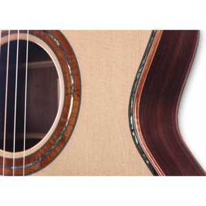 Электроакустическая гитара Furch MC Red Gc-SR SPA Кейс