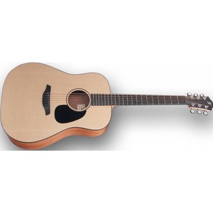 Акустическая гитара Furch Violet D-SY