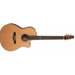Акустическая гитара SEAGULL 041558 Artist Mosaic CW Folk Element DLX TRIC