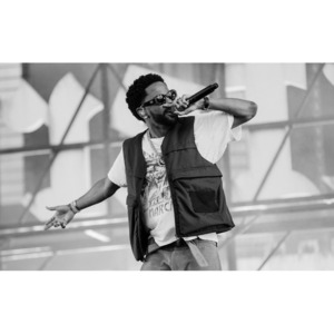 Микрофонный капсюль SE ELECTRONICS V7 MC2 Black