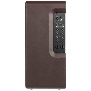 Комбоусилитель для акустических инструментов Laney A-DUO