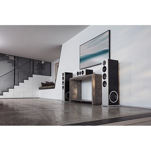 Центральный канал Definitive Technology DEMAND-D5CBK