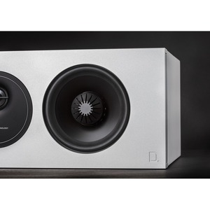 Центральный канал Definitive Technology DEMAND-D5CWT