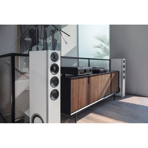 Напольная акустика Definitive Technology DEMAND-D15WT SET