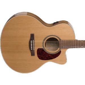 Электроакустическая гитара Simon & Patrick 033768 CWGT Cedar QIT