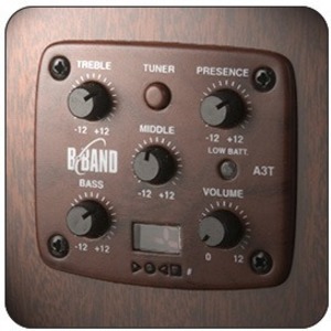 Электроакустическая гитара Simon & Patrick 033768 CWGT Cedar QIT