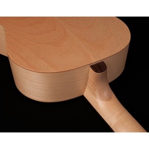 Акустическая гитара Simon & Patrick 039708 Trek Nat SG