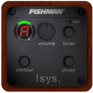 Электроакустическая гитара Simon & Patrick 039753 Trek Nat Parlor SG Isyst