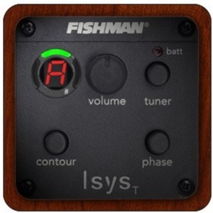 Электроакустическая гитара Simon & Patrick 039739 Trek Nat Folk SG Isyst