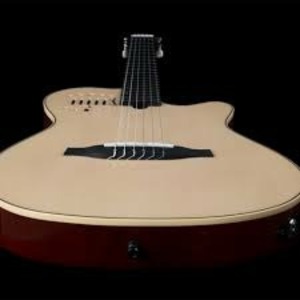 Электроакустическая гитара Godin 032266 MultiAc Nylon Duet Ambiance