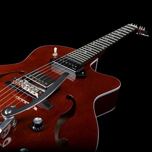 Гитара полуакустическая Godin 047802 5th Ave Uptown Custom Havana Brown