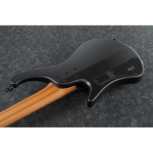 Бас гитара 5 струн IBANEZ EHB1005-BKF