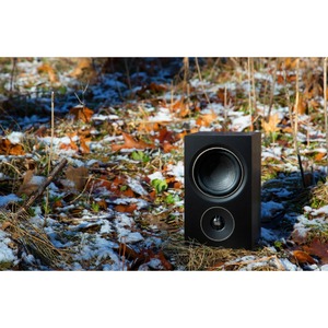 Полочная акустика PSB Alpha P3 black