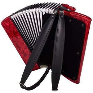 Аккордеон Weltmeister Topas-IV-96/37-RD