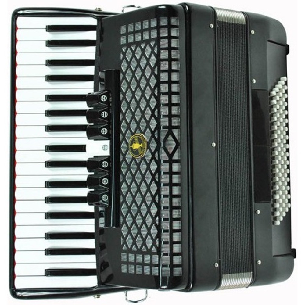 Аккордеон Aurus JH2006-B