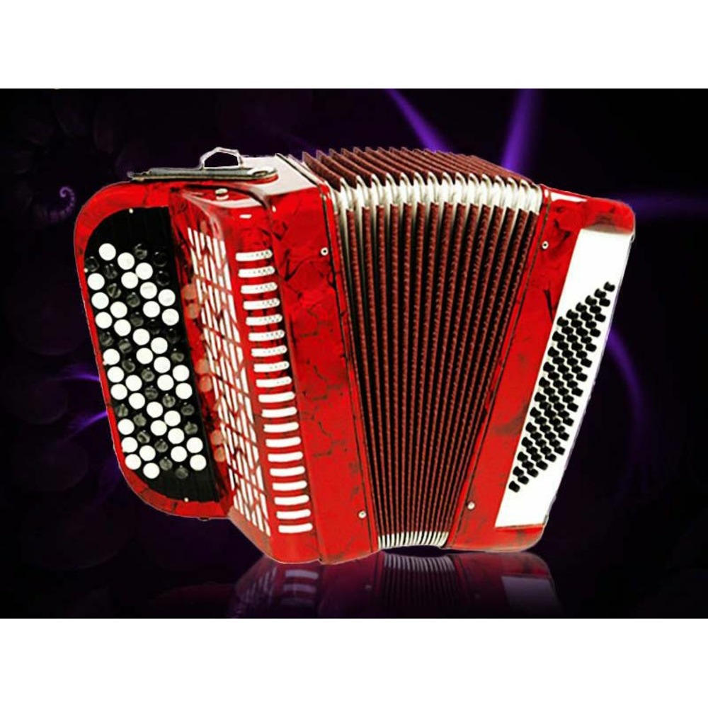 Аккордеон Aurus JH5060-R