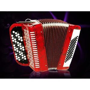 Аккордеон Aurus JH5060-R