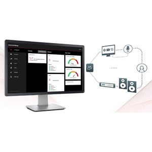 Пакет ПО Dante Audinate DDM-PL-SLV
