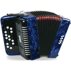 Аккордеон Aurus GH5008