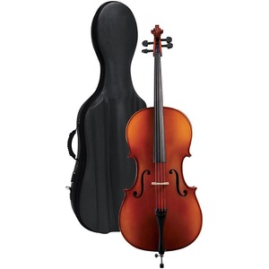 Виолончель Gewa Cello outfit Europe 1/2