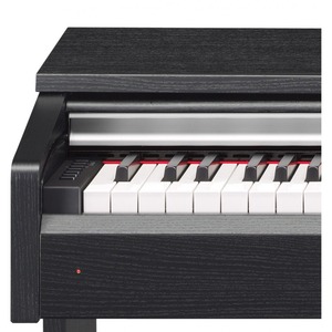 Пианино цифровое Yamaha YDP-142B