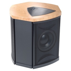 Фазоинверторный сабвуфер Martin Logan Descent I Cherry/Black Aluminium
