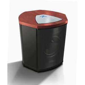 Фазоинверторный сабвуфер Martin Logan Descent I Dark Cherry/Black Aluminium