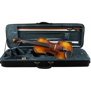 Альт Prima P-300