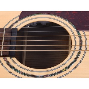 Предусилитель для акустической гитары Shadow Electronics SH-M-Sonic-NMG-VT