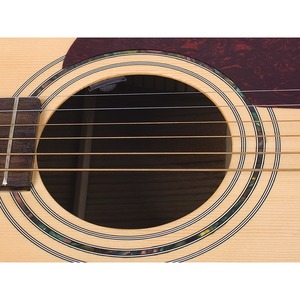 Предусилитель для гитары с активным звукоснимателем Shadow Electronics SH-M-Sonic-NFX-AV