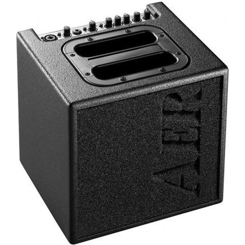 Комбоусилитель для акустических инструментов AER Alpha