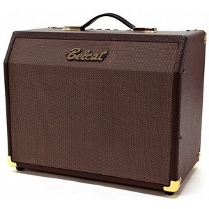 Комбоусилитель для акустической гитары Belcat Acoustic-15C