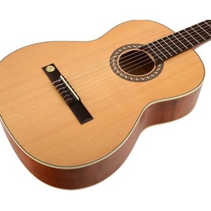 Классическая гитара PRO ARTE GC 242 II