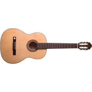 Классическая гитара PRO ARTE GC 242 II
