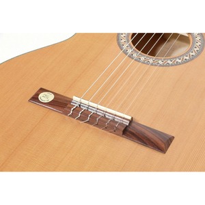 Классическая гитара PRO ARTE GC 242 II